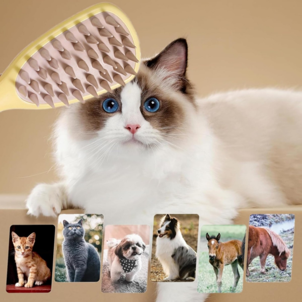 2-Piece High-Quality Pet Bath Brush