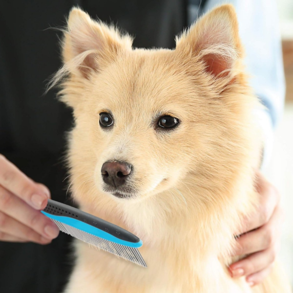 Two-Piece Large and Small Tooth Pet Comb