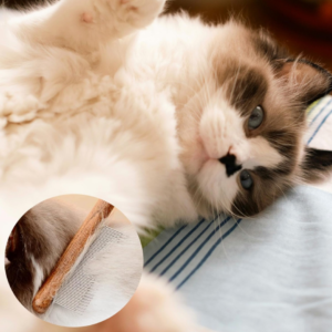 Three-Piece Solid Wood Pet Comb