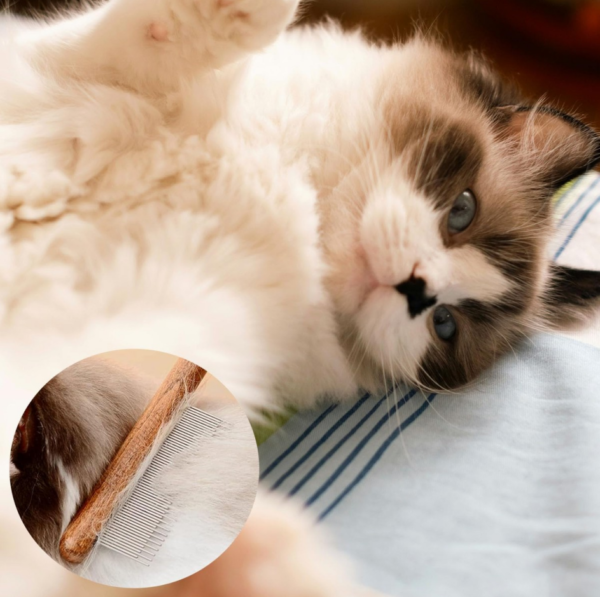 Three-Piece Solid Wood Pet Comb